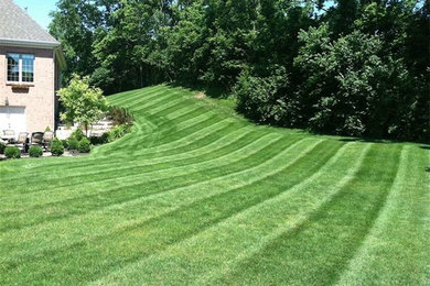 Photo of a large full sun side yard landscaping in Other.