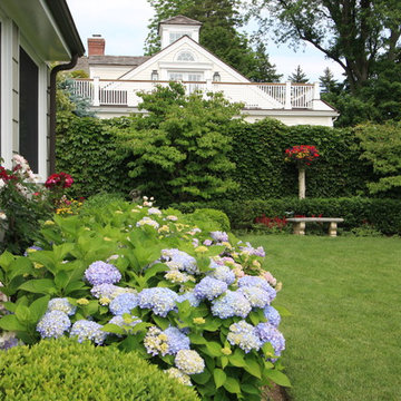 Hydrangea Boxwood Rose - Photos & Ideas | Houzz