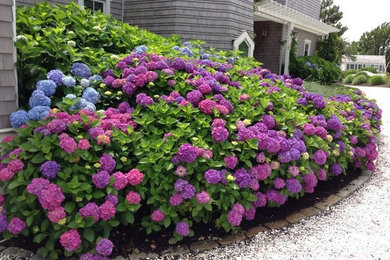 Inspiration for a traditional landscaping in Boston.