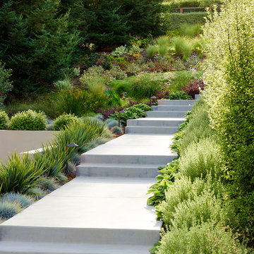 Front Yard Landscaping Ideas, Front Yard Modern Landscaping Plants