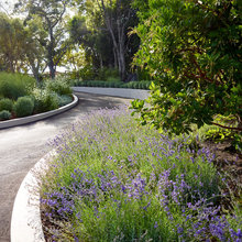 Entrance Driveway