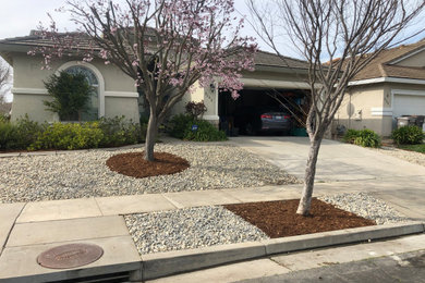 This is an example of a large traditional drought-tolerant, rock and partial sun front yard river rock landscaping.