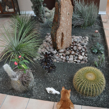 Indoor Cactus Atrium