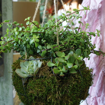 Indoor Gardens