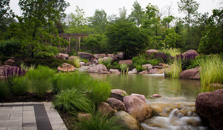 Giardini d’Acqua e Mini Pond da Interni