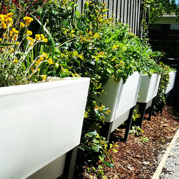 Inner city urban gardening spaces