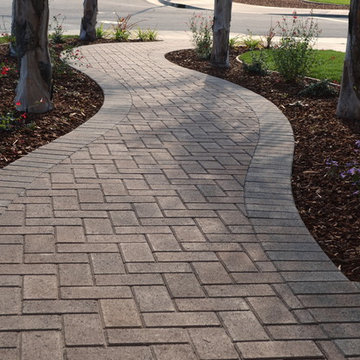 Interlocking Pavers