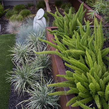 Intimate contemporary Garden