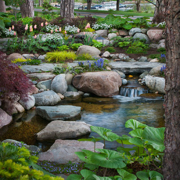 Intimate Courtyard, Pond and Stream