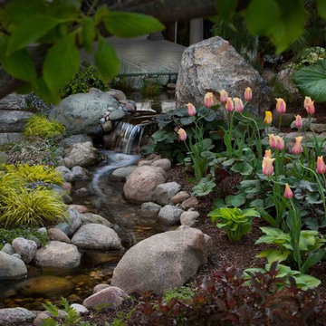 Intimate Courtyard, Pond and Stream