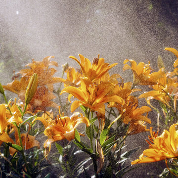 Irrigation