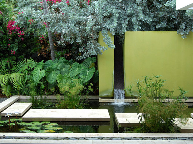 Contemporary Garden by Raymond Jungles, Inc.