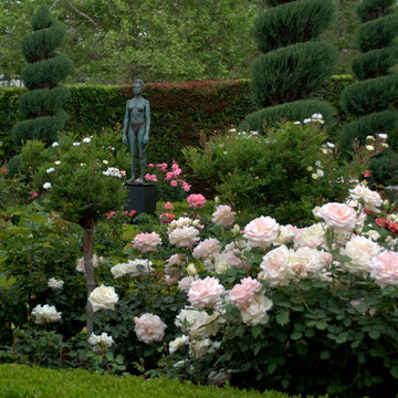 Italian Renaissance Rose Garden
