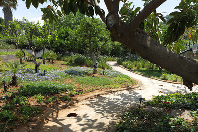 テルアビブにあるトラディショナルスタイルのおしゃれな庭の写真