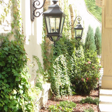 Ivy covered classic wall