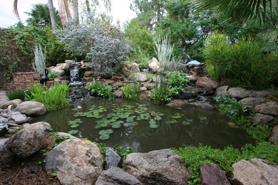 This is an example of a mid-sized eclectic partial sun backyard pond in Phoenix.