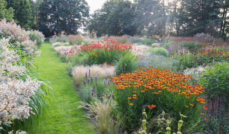 Ett år i Jakobstuin, den mest magiska trädgården i Nederländerna
