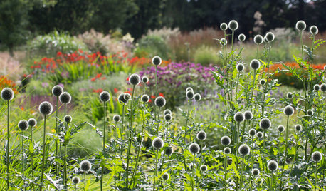 Houzz Нидерланды: Якобстуин — очаровательный сад Яапа де Вриса