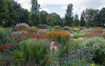 Tour 3 Marvelous Meadow Gardens and Learn About Their Plants
