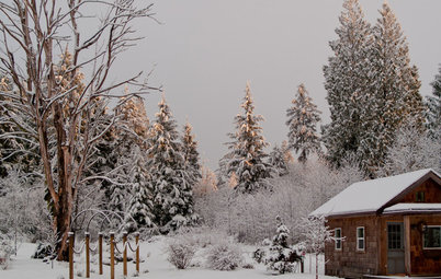 Pacific Northwest Gardener's January Checklist