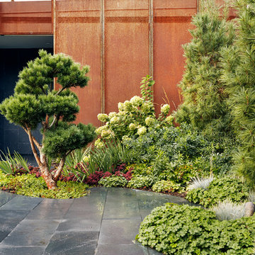 Japanese Contemporary