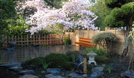 Gartenstile kurz erklärt: Der japanische Garten