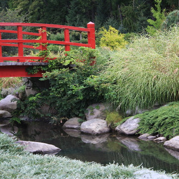 Japanese Garden: bridge and stream.