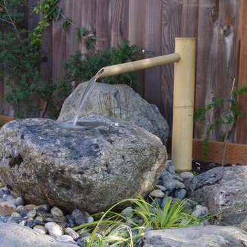 Japanese Garden, Contemporary Garden, California Garden