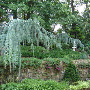 Réalisation d'un jardin asiatique.