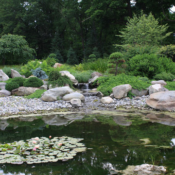 Japanese Garden: first pond, closer look.