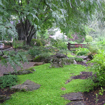 Japanese Garden from an old pool area