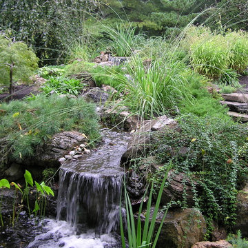 Japanese garden