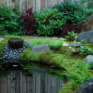 Japanese Garden Style Project