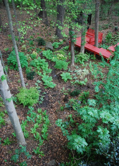 Asian Landscape by Jay Sifford Garden Design