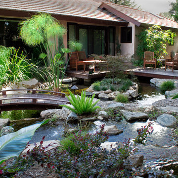 Japanese inspired Garden and Koi Pond