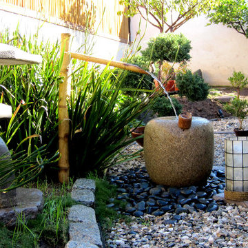Japanese inspired garden