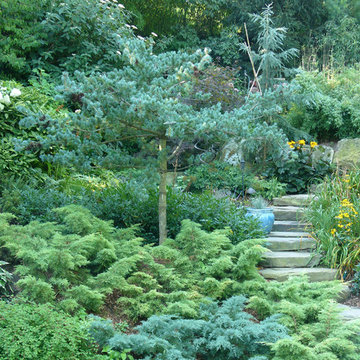 Japanese-Inspired Garden