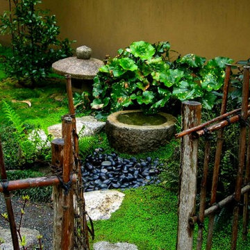 japanese water basin and bamboo fence
