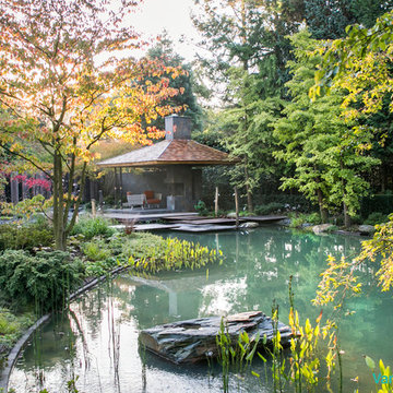 Japanese water garden