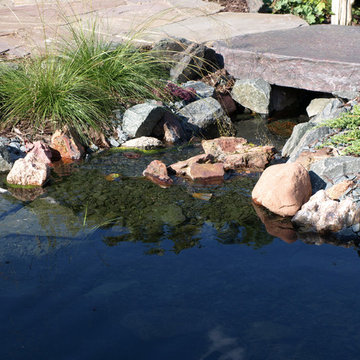 Japanese Water Gardens