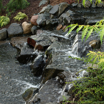 Japanese Water Gardens