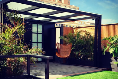 Imagen de jardín minimalista en verano con jardín francés y exposición total al sol