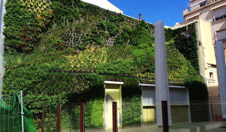 Fachadas verdes: Así va a cambiar el paisaje de nuestras ciudades