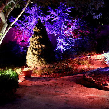 Jason Zook Garden Path LightScape