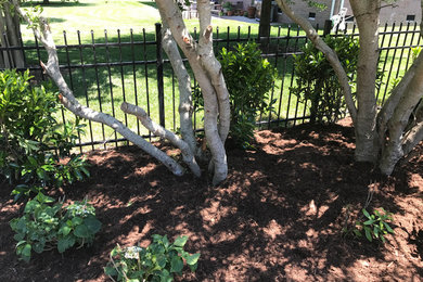 Foto de jardín minimalista de tamaño medio en verano en patio trasero con jardín francés, exposición parcial al sol y mantillo