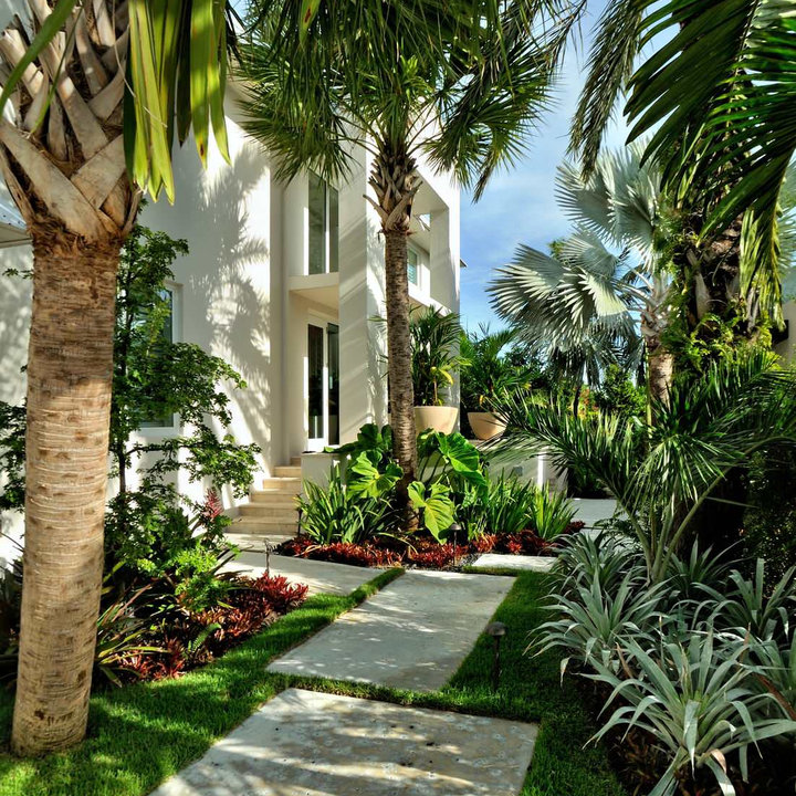 Idées déco et modèles de jardins exotiques — free download