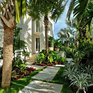 Diseño de jardín tropical con exposición parcial al sol