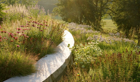 4 Ways Gardens Can Go Beyond Aesthetic Beauty