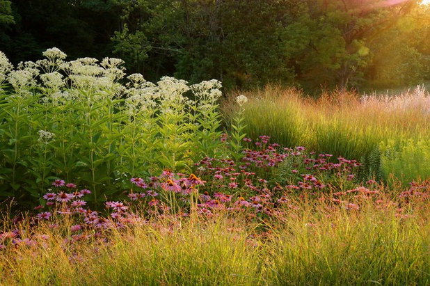 Contemporary Garden by Adam Woodruff LLC