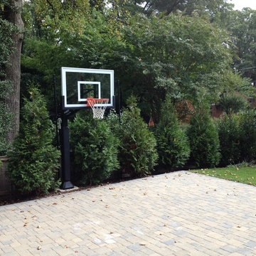 Joseph P's Pro Dunk Silver Basketball System on a 26x22 in Arlington, VA